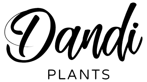 HYPERLINK DEV 7